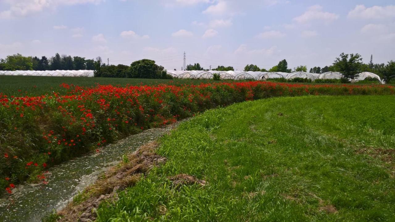 Agriturismo Cipolli E Podo Corte Carlini 曼托瓦 外观 照片