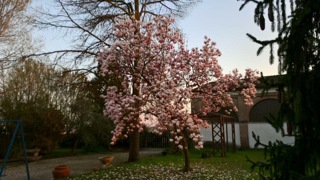 Agriturismo Cipolli E Podo Corte Carlini 曼托瓦 外观 照片