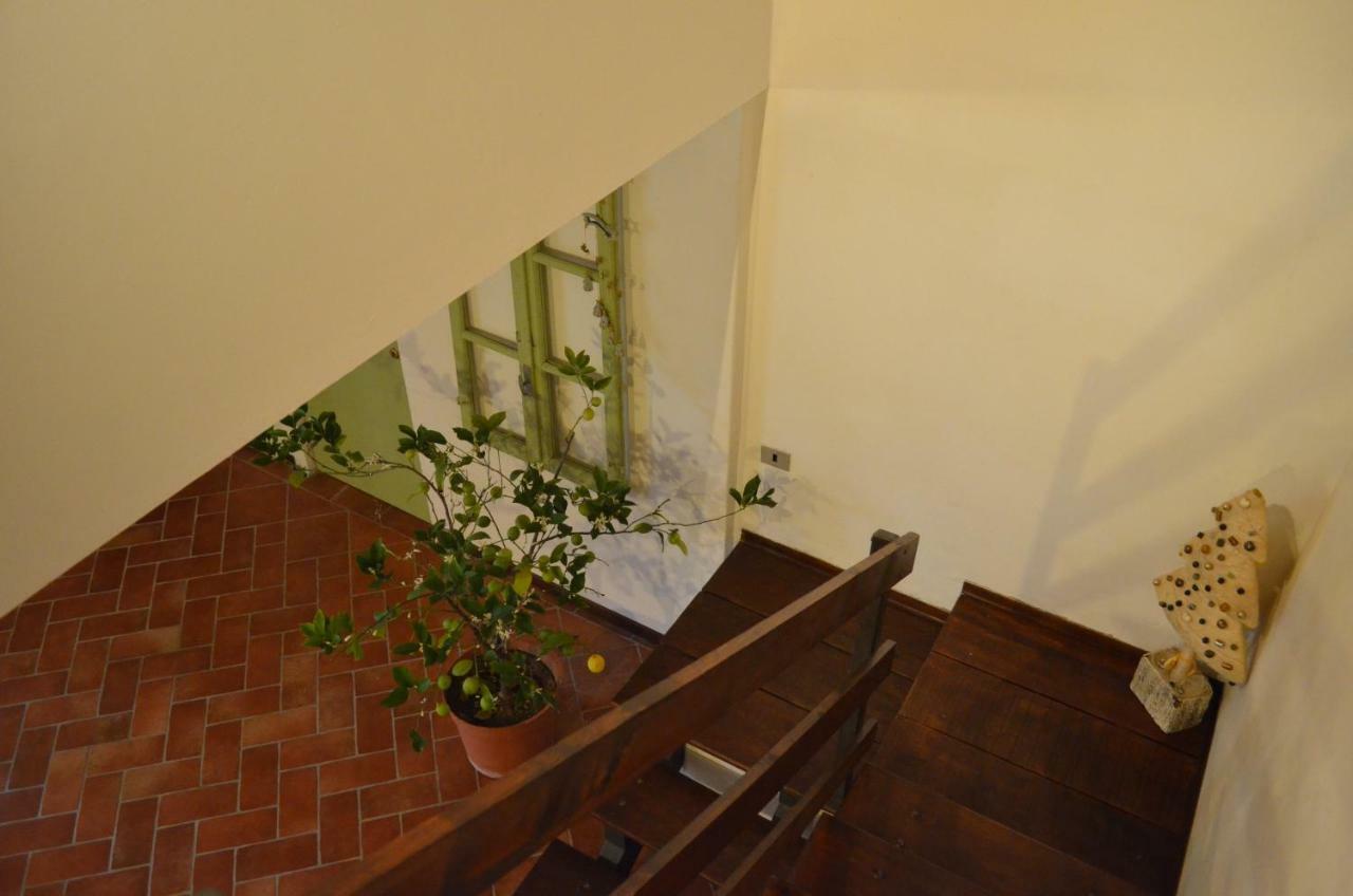 Agriturismo Cipolli E Podo Corte Carlini 曼托瓦 外观 照片